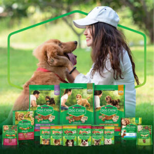 Ração Úmida Nestlé Purina Dog Chow Sachê Carne para Cães Adultos