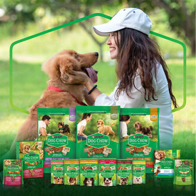 Ração Úmida Nestlé Purina Dog Chow Sachê Carne para Cães Adultos